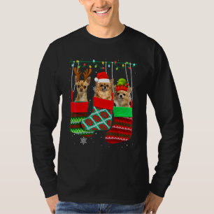チワワ 犬 クリスマス ソックス Xmas パジャマ ペット パピー Tシャツ