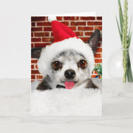 チワワINサンタハットグリーティングカード カード