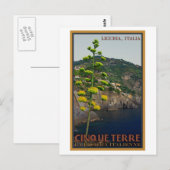 チンケ・テレ – センチュリー・プラント ポストカード (正面/裏面)