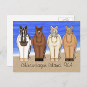 チンコテアグアイランドVAポニーズアットザビーチホース ポストカード (正面/裏面)