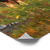 チンコテハの花が赤く咲く花 ポスター (角)