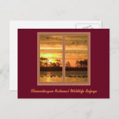 チンコテーグアイランドサンセットポストカード ポストカード (正面/裏面)