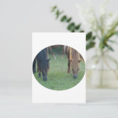 チンコテーグ島 ポストカード (スタンド正面)