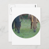 チンコテーグ島 ポストカード (正面/裏面)