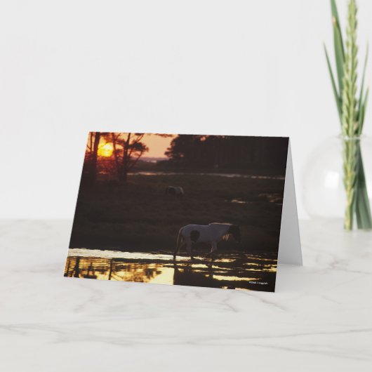 チンコテーグ歩くインウォーターアットサンセット カード (正面)