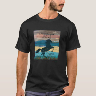 チンコテーハアイランドVAワイルドウズコ航海のアスタ Tシャツ