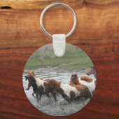 チンコテーハポニーキーチェーン キーホルダー (正面)