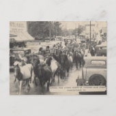 チンコテーハポニーヴィンテージ1941はがき ポストカード (正面)