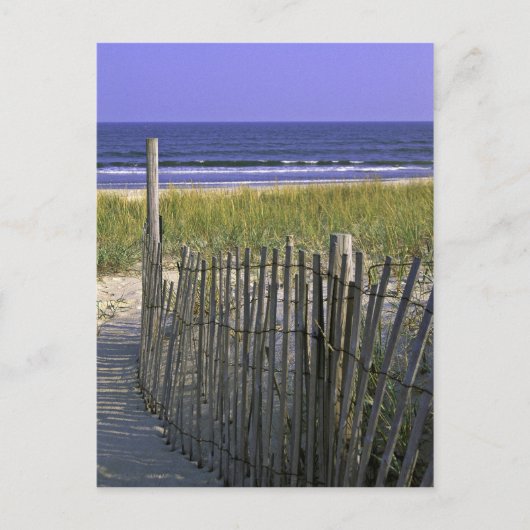 チンコテーハ国立野生生物保護区 ポストカード (正面)