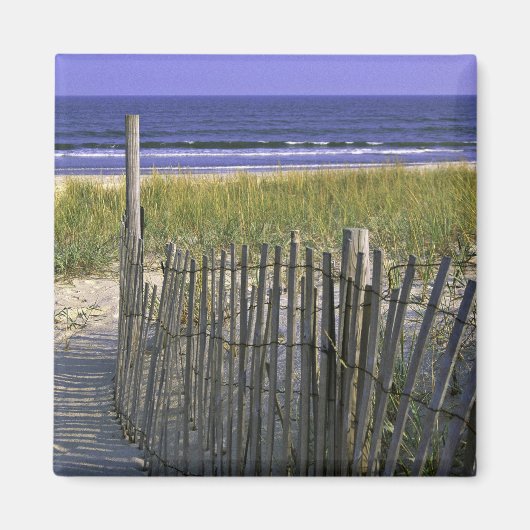 チンコテーハ国立野生生物保護区 マグネット (正面)