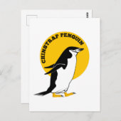 チンコペンギン ポストカード (正面/裏面)