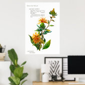 チンコリアカルタムス ポスター (ホームオフィス)