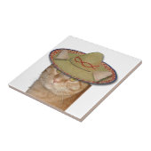 チンコ・デ・ガト タイル (側面)