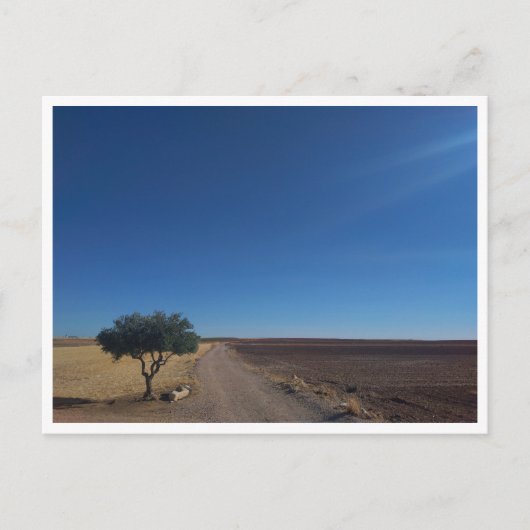 チンチョン語（スペイン） ポストカード (正面)