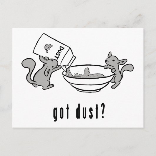 チンチラによって得られる塵の郵便はがき ポストカード (正面)