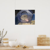 チンチラのお母さんがZzzzzの数をキャッチ ポスター (キッチン)