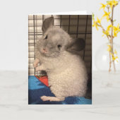 チンチラの折り畳みグリーティングカード カード (黄色い花)