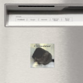 チンチラララブマグネット マグネット (インサイチュ (食洗機))