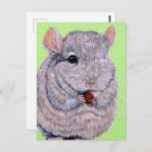 チンチラ絵画の ポストカード (正面/裏面)