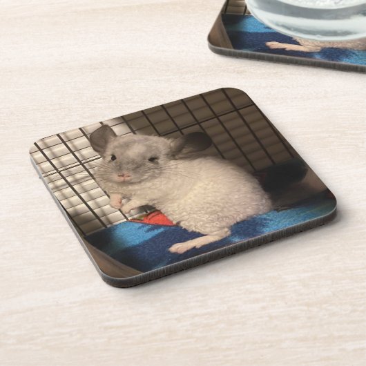 チンチラ コースター (左側)