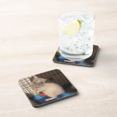 チンチラ コースター (右側)