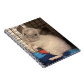 チンチラ ノートブック (右側)