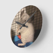 チンチラ ラウンド壁時計 (傾斜)
