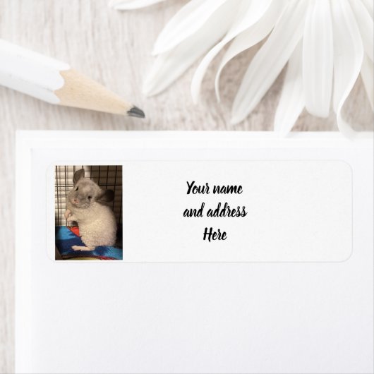 チンチラ ラベル (インサイチュ)