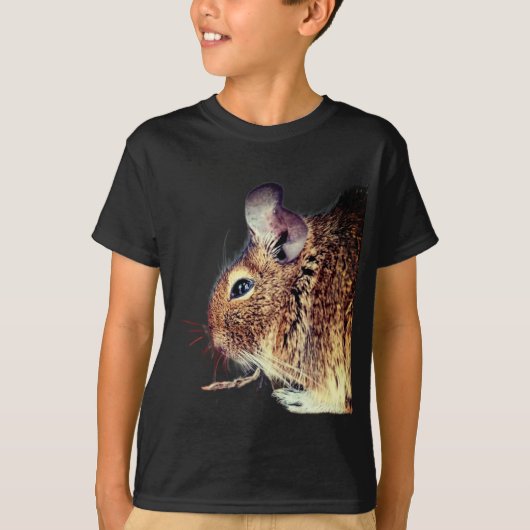 チンチラ Tシャツ (正面)