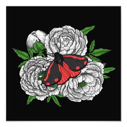 チンナバーガ フォトプリント            (正面)