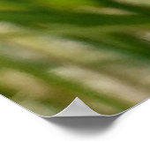 チンナバーガ ポスター (角)