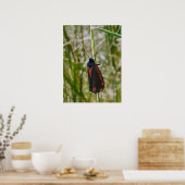 チンナバーガ ポスター (キッチン)