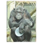 チンパおもしろいンジー クリップボード (裏面)