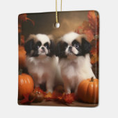 チンパピー日本の秋デライトカボチャ セラミックオーナメント (左)