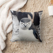 チンパンギン クッション (ブランケット)