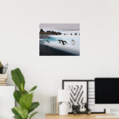 チンパンギン，ピゴスケリス南極， 2 ポスター (ホームオフィス)