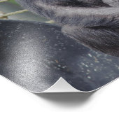 チンパンジーが座って見つめる写真 フォトプリント            (角)