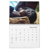 チンパンジーのウォールカレンダー カレンダー (2月 2027)