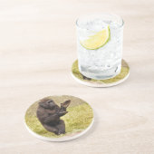 チンパンジーのコースター コースター (側面)