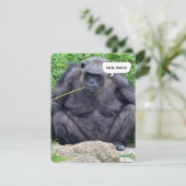 チンパンジーの誕生日パーティーへようこそ 招待状 (スタンド正面)