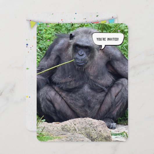 チンパンジーの誕生日パーティーへようこそ 招待状 (正面/裏面)