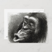 チンパンジーは失望し不機嫌 ポストカード (正面/裏面)