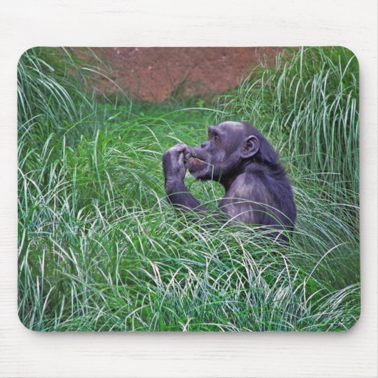 チンパンジーは背の高い草の中に座っている マウスパッド (正面)