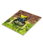 チンパンジーを染める毒カエル。 タイル (側面)