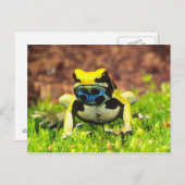 チンパンジーを染める毒カエル。 ポストカード (正面/裏面)
