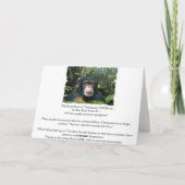 チンパンジーサンキューカード サンキューカード (裏面)