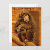 チンパンジーヴィンテージ魔法ランタンスライド1890s ポストカード (正面/裏面)