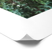 チンパンジー動物 ポスター (角)