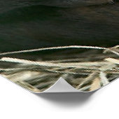 チンパンジー母子 ポスター (角)