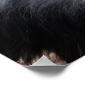 チンパンジー考えズ ポスター (角)